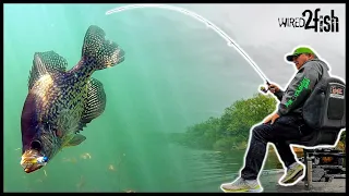 6 Tips for Successful Crappie Fishing