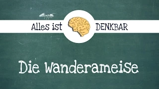 Die Wanderameise [Mathe-Rätsel]