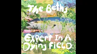 The Beths - Expert In A Dying Field (Demo)