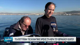 Η κλιματική αλλαγή επηρεάζει τον Θερμαϊκό Κόλπο | 29/11/2022 | ΕΡΤ