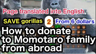 2 How to donate to Momotaro family from abroad. Gorilla