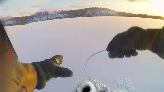 ЩУКИ АТАКУЮТ!!! ПОТРЕПАЛИ НЕРВИШКИ ПО ПЕРВОМУ ЛЬДУ! Утренняя раздача на озере.