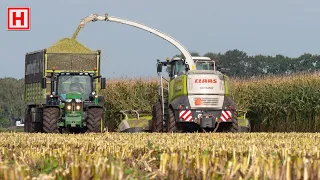 Van de Put in de mais met een Claas Jaguar 940 | Maize harvest for silage | Maisernte