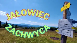 Góra Jałowiec 1111 m n.p.m. - wchodzimy z miejscowości Stryszawa