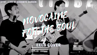 Novocaine for the Soul (Eels Cover) - Dyrt (Live at Goodbye Garden)