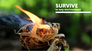 Sticks and Feathers: Survival Fire