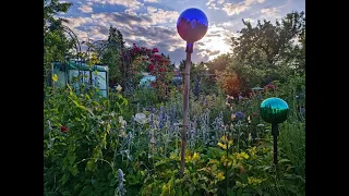 Naturgarten am 9.6.2022 Gartenrundgang