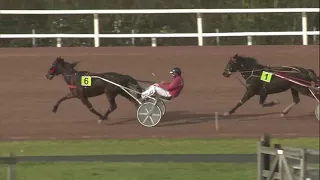 Hippodrome de Wallonie Mons (België) 22-01-2021 Selectieproef 5 Gordy du Poncelet - Kristof Depuydt