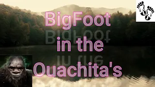 Bigfoot in the Ouachita's