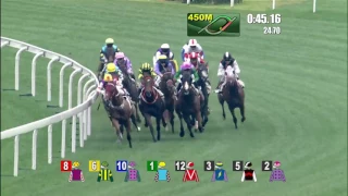 The Magic Man's Day Joao Moreira Wins 1/8 Race at Hong Kong Racecourse