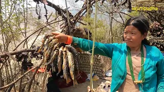 into the wild in Nepal || lajimbudha ||