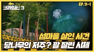 [크라임씬3][11-1] 섬마을 살인 사건｜팔뚝섬의 수호신, 당나무가 내린 저주?! 팔 잘린 채 발견된 사체를 둘러싼 미신 (CRIME SCENE 3)