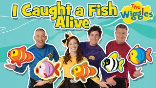 12345 Once I Caught A Fish Alive 🐠 Kids Counting Songs 🔢  Nursery Rhymes 🎵 The Wiggles