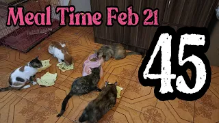 Meal Time | Feb 21 | Chespie | VLOG 45