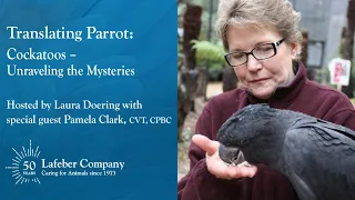 Translating Parrot 2: Cockatoos – Unraveling the Mysteries