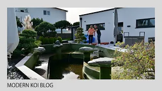 Modern Koi Blog #5245 - Die große Genesis Teichrestauration bei Holgers 45.000 Liter Teich