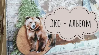 Зимний эко-альбом обзор.