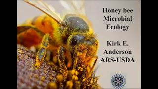 Honey Bee Microbial Ecology - Kirk E. Anderson