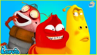 LARVA Season 3 Episode 540 ~ 656 | New Cartoons 2022 | Comics | Hilarious Cartoon Compilation