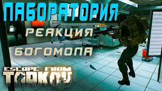 Лаборатория - Реакция богомола Escape From Tarkov