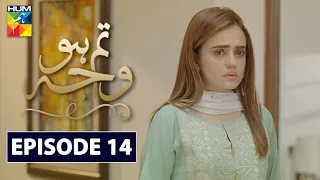 Tum Ho Wajah Episode 14 HUM TV Drama 27 July 2020