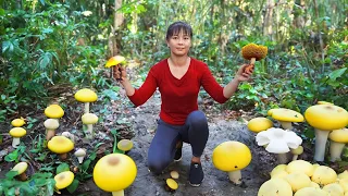 Harvesting Earth Mushroom Grow After Rain Go To Market Sell - Take Care of The Garden