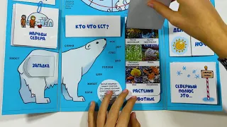 Лэпбук «Арктика» дошкольникам — lapbook.ru