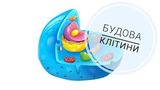 Будова клітини, біологія, 6 клас (із субтитрами)