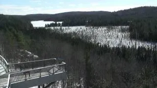 Algonquin Park Seasons