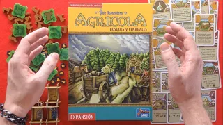 Agricola: Bosques y cenagales | Edición revisada | Expansión