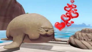 Seal, my beloved