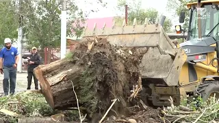 Улицы Черкесска очистили от поваленных ураганом деревьев