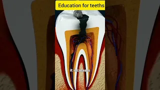 Why Grinding Your Teeth is bad.  #ytshorts #facts