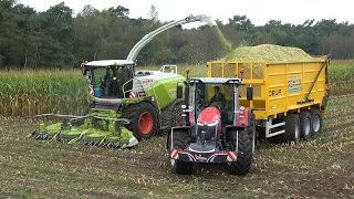 Reimink van start in de mais met nieuwe Claas Jaguar 950 en demo Massey Ferguson 8S 245 (2021)