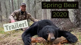 Spring Black Bear Hunting in BC 2020 (trailer)