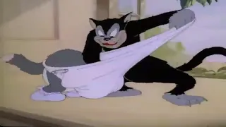 Tom va Jerry oʻzbek tilida multfilim