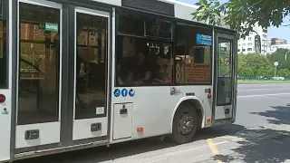 🚌 Поездка на автобусе лотос 206 , маршрут 81 🚌