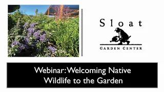 Webinar: Welcoming Native Wildlife to the Garden