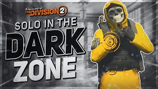 The BEST SOLO DARK ZONE Build in The Division 2 RIGHT NOW! JUST TRY IT OUT!