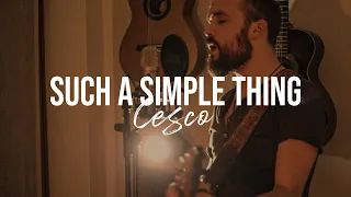 SUCH A SIMPLE THING - Ray La Montagne (Cover by Francesco Benedetti)