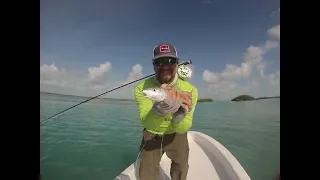 Bonefish 101 - Quick Beginners Guide To Bonefishing