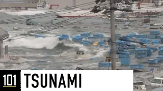 Tsunamis 101 | National Geographic