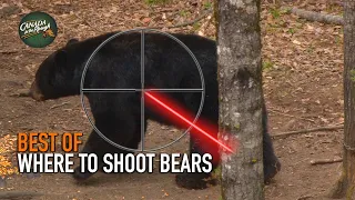 Where to Shoot a Bear | BEST OF HUNTING Compilation