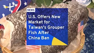 U.S. Offers New Market for Taiwan's Grouper Fish After China Ban | TaiwanPlus News