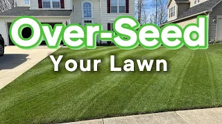The Secret to a Perfect Lawn: Pre-germinated Seed Over-seeding