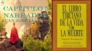 CAPÍTULO 5 - AUDIOLIBRO - EL LIBRO TIBETANO DE LA VIDA Y LA MUERTE