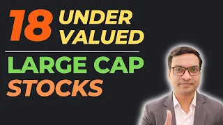 18 Undervalued Large Cap Stocks - Vivek Singhal
