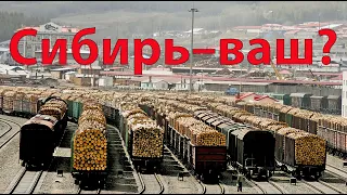 Стрим про "Неизбежность вторжения Китая в Сибирь