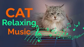 IMPROVED Relaxing Music for Cats, Calm Your Energetic Cat with this Soothing Music