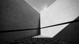 Tadao Andō / "a short film of light & shadow"